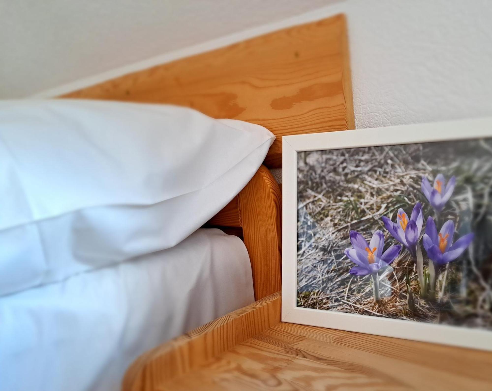 Przy Szlaku Zakopane Centrum Pokoje & Apartamenty 외부 사진