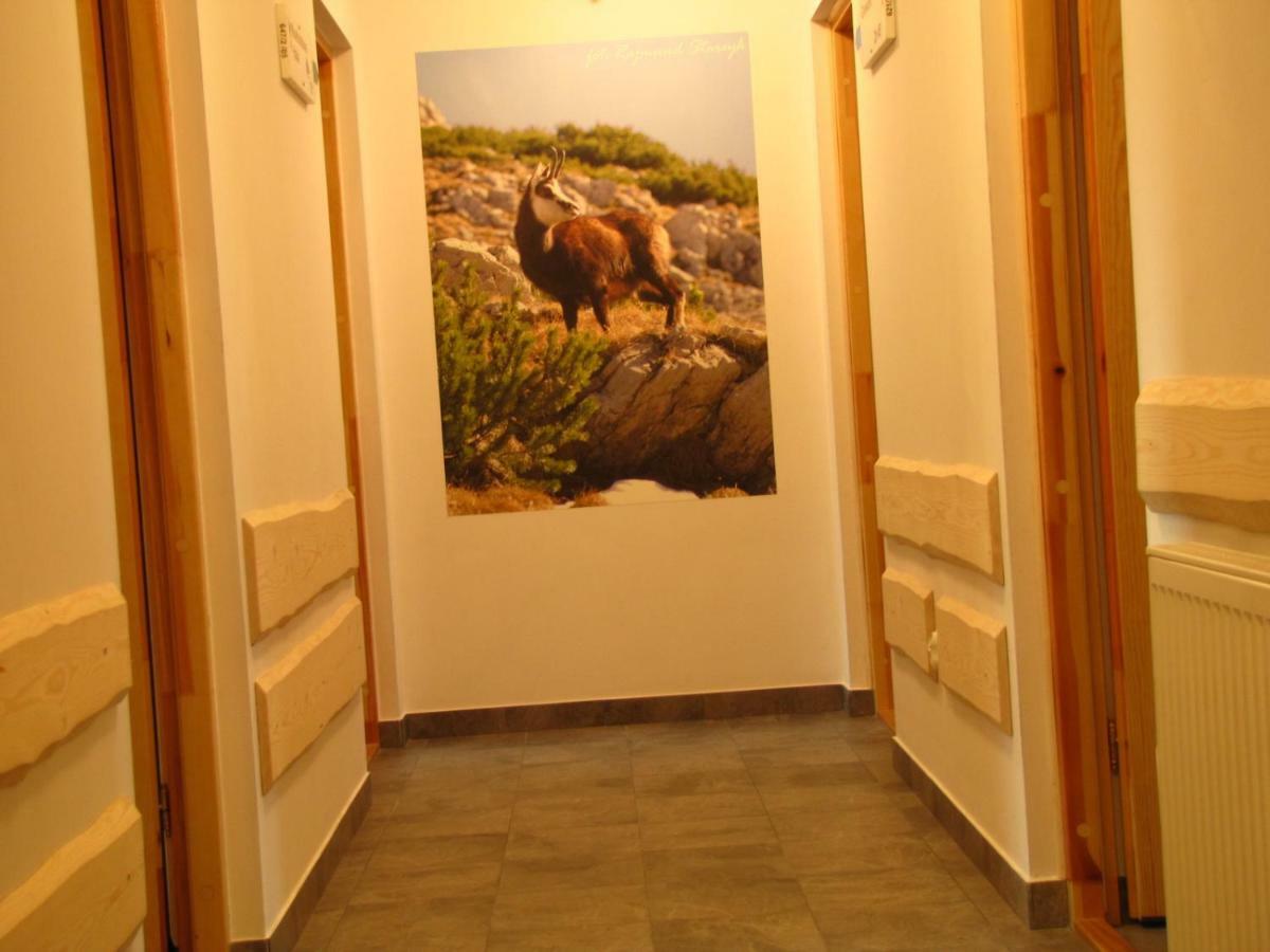 Przy Szlaku Zakopane Centrum Pokoje & Apartamenty 외부 사진